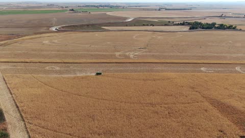 Pan across field right to left from northwest corner