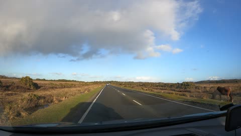 Driving in the new forest. Speedlapse. GoPro