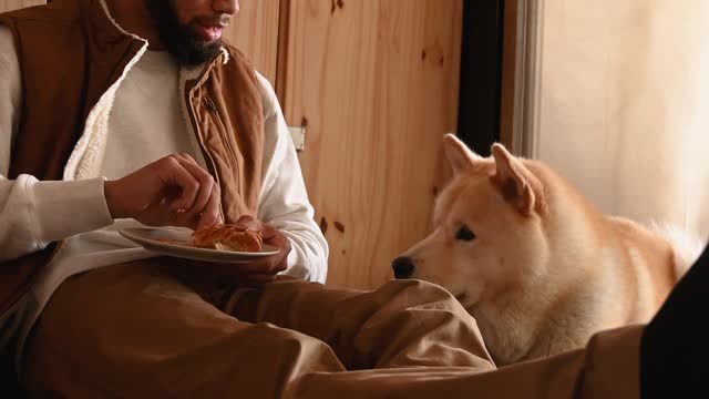 Man Sitting on the Floor Training a Dog