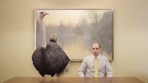 Breakroom Ostrich - Doritos Crash the Super Bowl