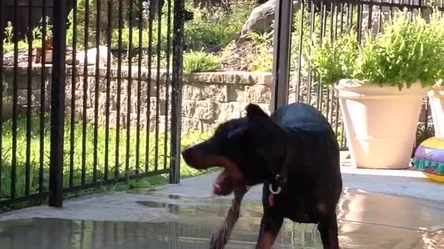 Sprinkler fun