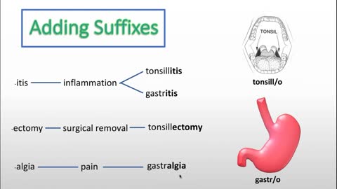 Healthcare Professionals: Medical Terminology