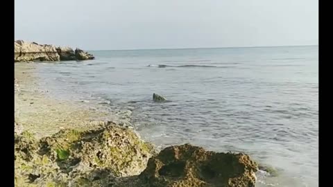 Good morning 🌊🤩