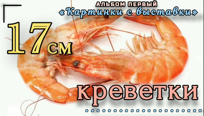 17 см - креветки