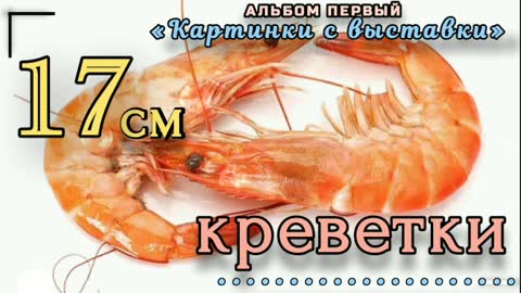 17 см - креветки