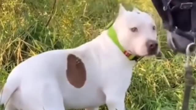 You actually sucked me as a milk, it hurts to death