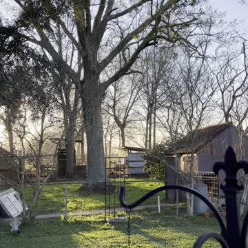 THIS Is why I love all my birds