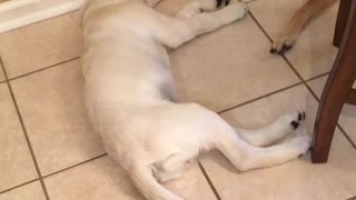 Play Wiff Me
