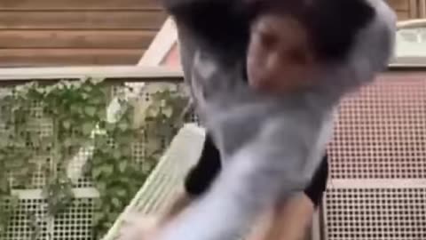 The end 😂😂😂#viral#fails#funny