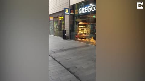 Hilarious moment that the seagull steals fries from the store