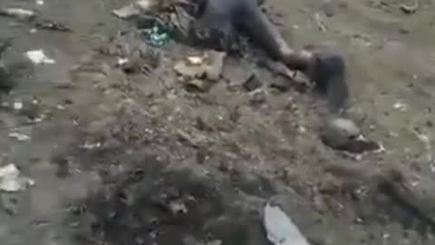 Ukraine Russia War. The results of war