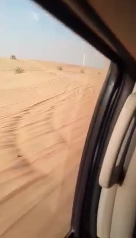 Safari Dubai