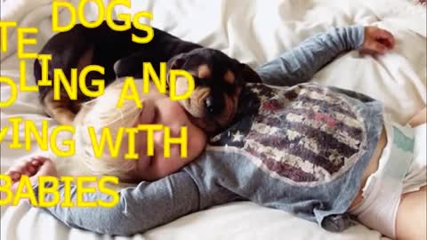 Cute dogs cuddling and playing with babies Dog & baby compilation