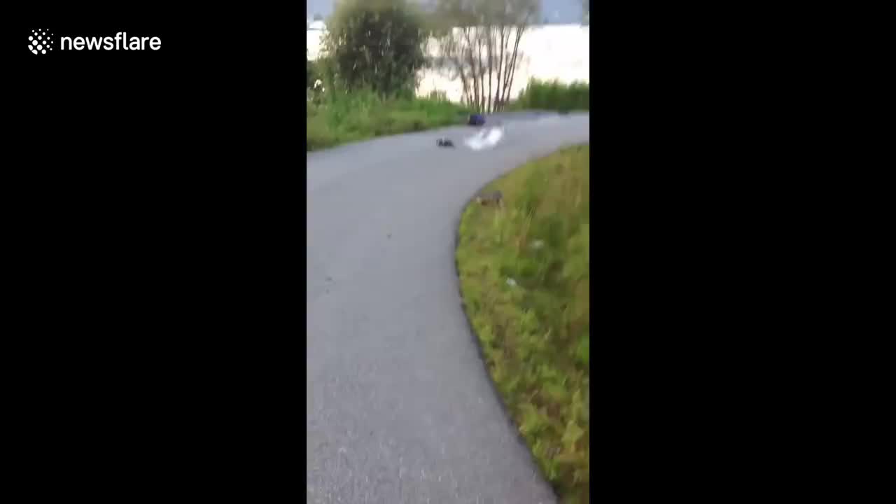 Skateboarder wipes out himself and case of beer in hilarious fail