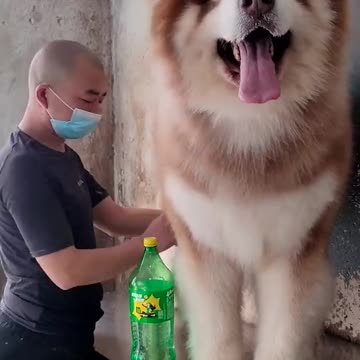 I'm in awe at the size of this lad. Absolute unit.