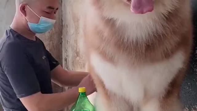 I'm in awe at the size of this lad. Absolute unit.