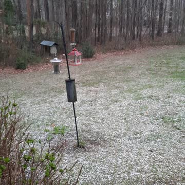 Abrupt Hail/Snowstorm March 2022