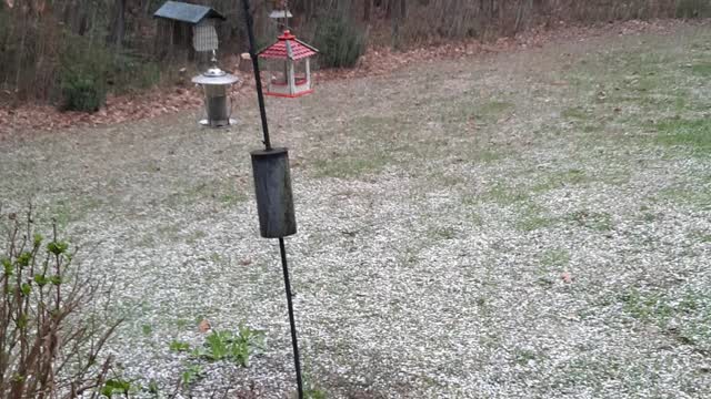 Abrupt Hail/Snowstorm March 2022