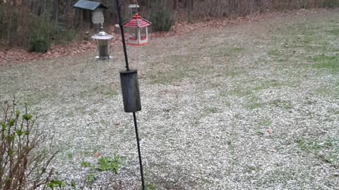 Abrupt Hail/Snowstorm March 2022