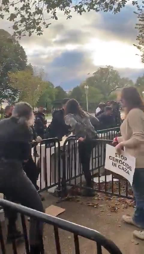 THIS IS FINE: Pro-Palestinian Lunatic Leftists Attack Secret Service Outside White House [WATCH]