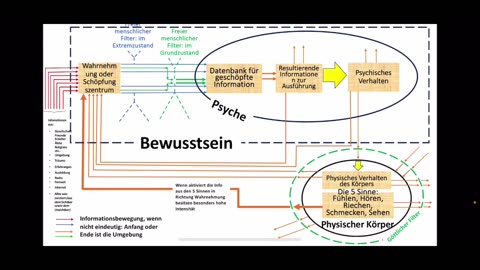 Der Mensch: wie er funktioniert in weniger als 1 Minute!