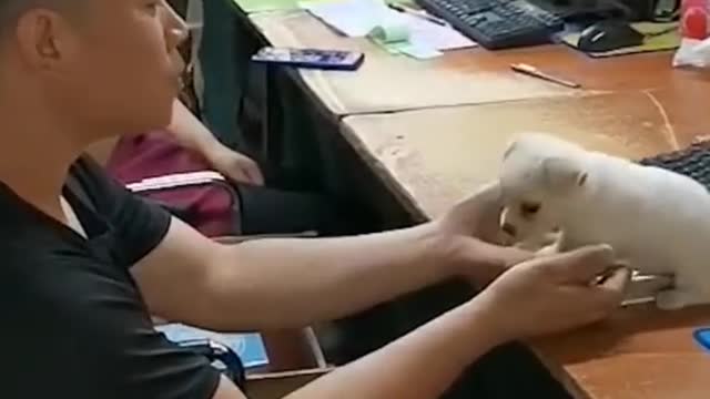 #funny #cute β€ #cats and #dogs πΆπ± part 3