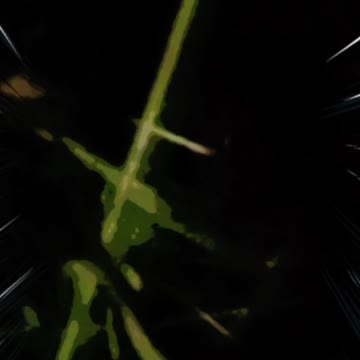 This kid is going to attack me