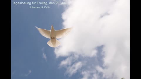 Tageslosung für Freitag, den 29. Juli