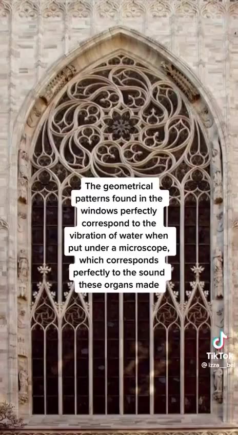 They thought we won't remember