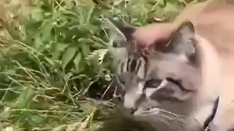 Besties roaming God’s Beauty as Free Beings