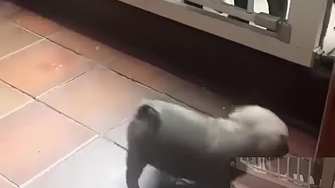I want to go out