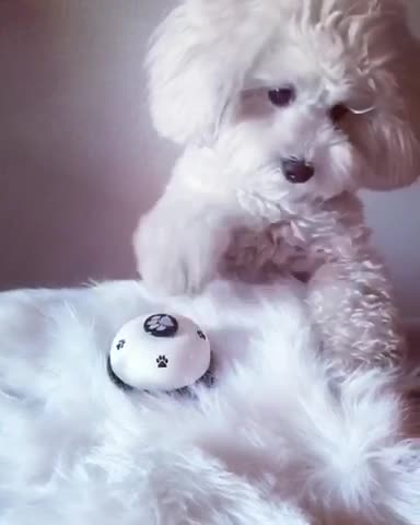 The service here is great