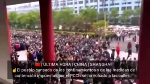 LOS CHINOS DE SHANGAI SE CAGAN EN EL CONFINAMIENTO!!!