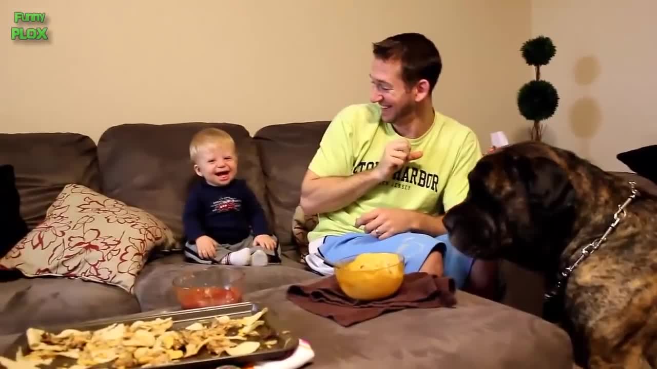 Funny Babies Laughing at Dogs playing with dogs