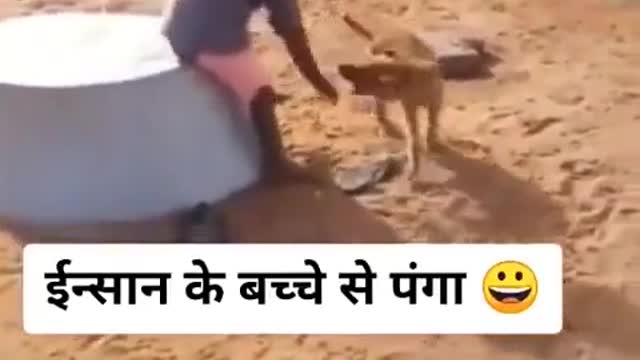 Funny video