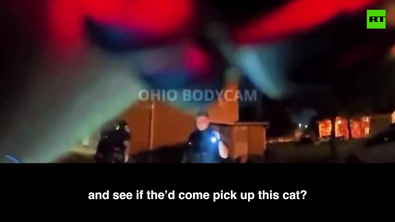 Ohio woman kills and eats neighbor’s cat