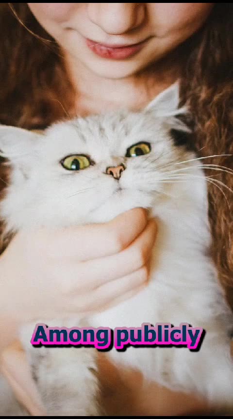 Bug Appetit! Tyson Foods Buzzes into Insect Protein