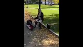 Boston Commons Musician