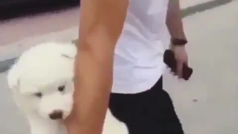 It's cold on the ground. I'll hold it