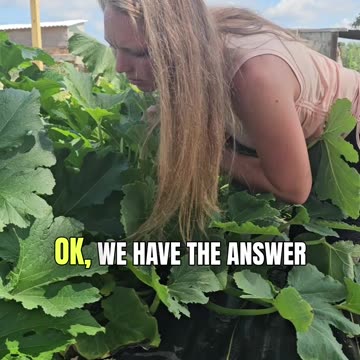 Lost Keys? No Problem!