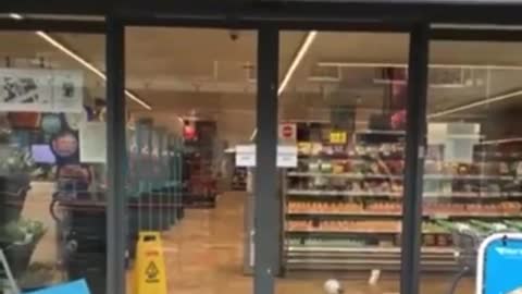 Birds thief in supermarket