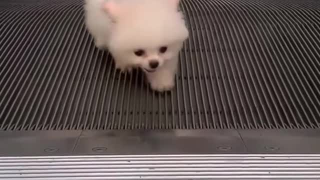 IT'S ANOTHER HAPPY DAY TODAY!