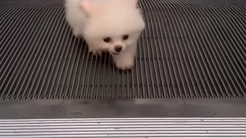 IT'S ANOTHER HAPPY DAY TODAY!