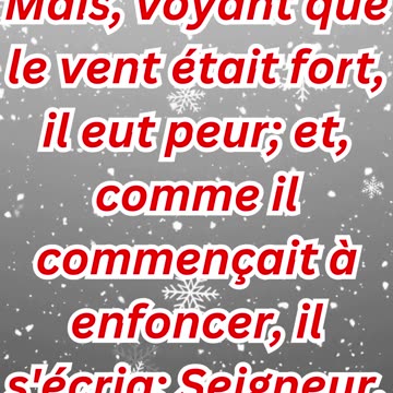 "Pierre Sombrant dans la Peur et Appelant à l'Aide" Matthieu 14:30.#shortvideo #short #youtube #yt