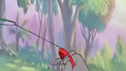 Tom and Jerry funny moments fight #Short video...