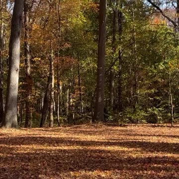 A Prayer for Courage