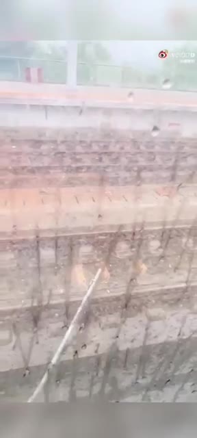 Driver died, 8 injured in train crash in China