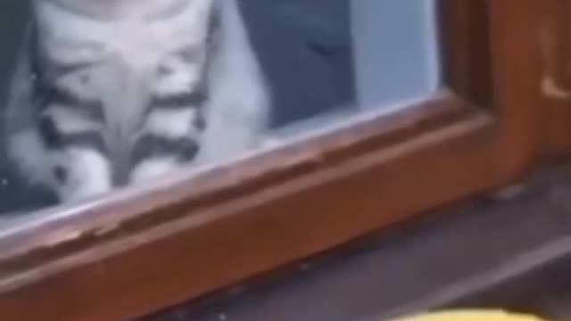 Wait for the end 😂