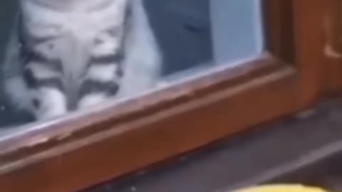 Wait for the end 😂