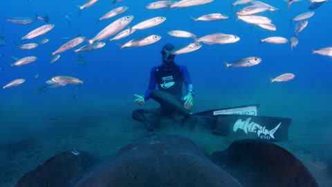 Diving with Stingrays in Spain